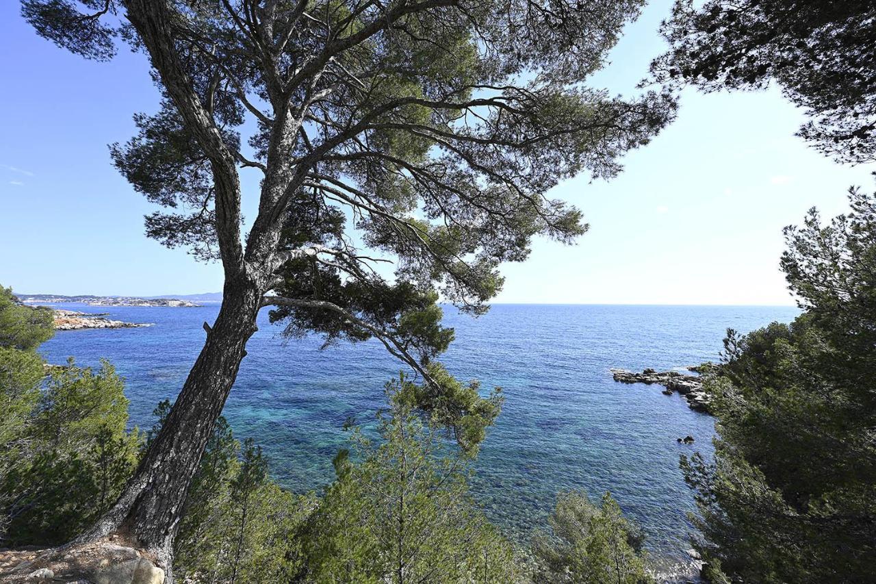 Charmant Studio 2A4 Pers Avec Jardin Et Place De Parking Situe A 5 Min A Pied De La Mer Bandol Zewnętrze zdjęcie